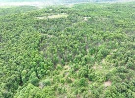 40.15 Ac Middle Ridge Road, Romney, WV 26757