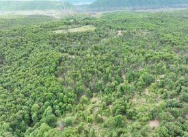 40.15 Ac Middle Ridge Road, Romney, WV 26757