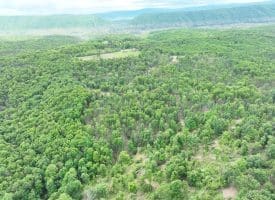 40.15 Ac Middle Ridge Road, Romney, WV 26757