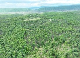 40.15 Ac Middle Ridge Road, Romney, WV 26757