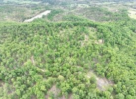 40.15 Ac Middle Ridge Road, Romney, WV 26757