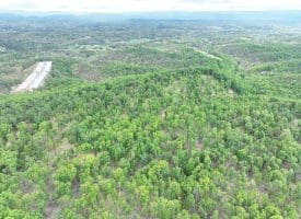 40.15 Ac Middle Ridge Road, Romney, WV 26757