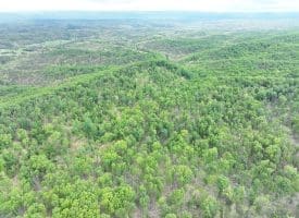 40.15 Ac Middle Ridge Road, Romney, WV 26757
