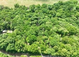 Lot 11 Rock Creek Trail, Augusta, WV 26704