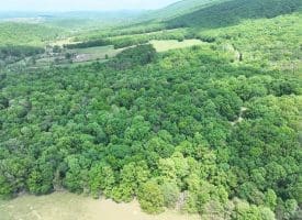 Lot 11 Rock Creek Trail, Augusta, WV 26704