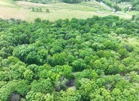 Lot 11 Rock Creek Trail, Augusta, WV 26704