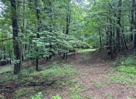 Lot 61 High Mountain View Road, Romney, WV 26757