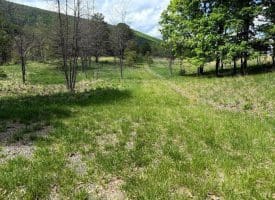 Lot 55 & 56 Sarah Lincoln Dr., New Creek, WV  26743
