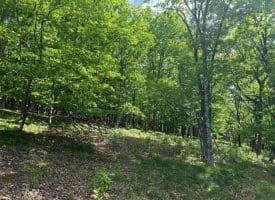 Lot 55 & 56 Sarah Lincoln Dr., New Creek, WV  26743
