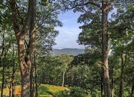 883 White Oak Crossing Road, Moorefield, WV 26836