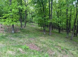 Lot 55 & 56 Sarah Lincoln Dr., New Creek, WV  26743