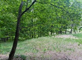 Lot 55 & 56 Sarah Lincoln Dr., New Creek, WV  26743
