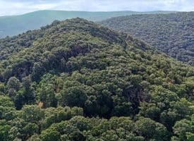 883 White Oak Crossing Road, Moorefield, WV 26836