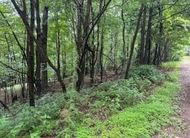 Lot 61 High Mountain View Road, Romney, WV 26757