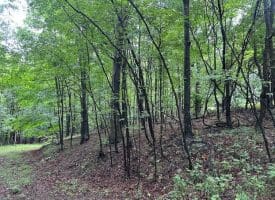 Lot 61 High Mountain View Road, Romney, WV 26757