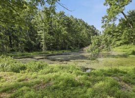 633 Halterman Drive, Capon Bridge, WV 26711