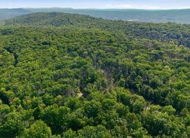 633 Halterman Drive, Capon Bridge, WV 26711