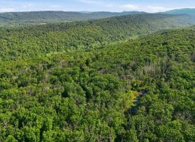 633 Halterman Drive, Capon Bridge, WV 26711