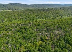 633 Halterman Drive, Capon Bridge, WV 26711
