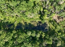 633 Halterman Drive, Capon Bridge, WV 26711