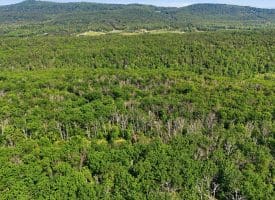 633 Halterman Drive, Capon Bridge, WV 26711