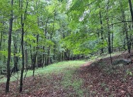 Lot 61 High Mountain View Road, Romney, WV 26757