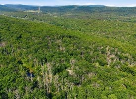 633 Halterman Drive, Capon Bridge, WV 26711