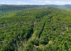 633 Halterman Drive, Capon Bridge, WV 26711