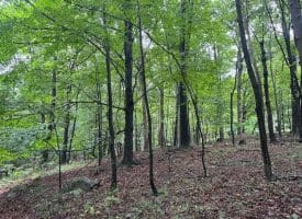 Lot 61 High Mountain View Road, Romney, WV 26757