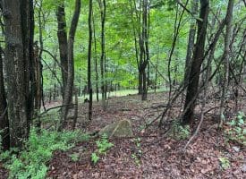 Lot 61 High Mountain View Road, Romney, WV 26757