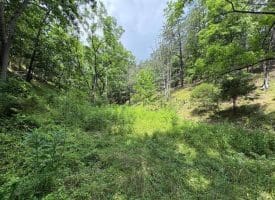 7313 Little Cacapon Rd., Romney, WV  26757
