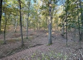 7313 Little Cacapon Rd., Romney, WV  26757