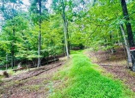 Lot 2 Pepper Ln, Great Cacapon, WV  25422