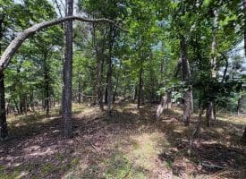 7313 Little Cacapon Rd., Romney, WV  26757