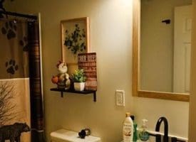 502 White Pine Ln, Capon Bridge, WV  26711