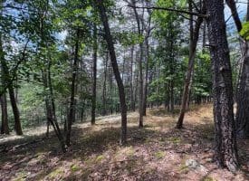 7313 Little Cacapon Rd., Romney, WV  26757