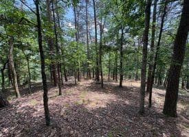 7313 Little Cacapon Rd., Romney, WV  26757