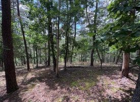 7313 Little Cacapon Rd., Romney, WV  26757