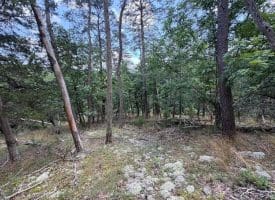 7313 Little Cacapon Rd., Romney, WV  26757