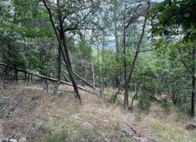 7313 Little Cacapon Rd., Romney, WV  26757