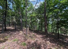 7313 Little Cacapon Rd., Romney, WV  26757