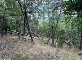 7313 Little Cacapon Rd., Romney, WV  26757