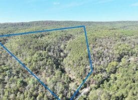 7313 Little Cacapon Rd., Romney, WV  26757