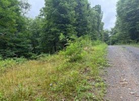 Tr D-15 Deer Path Rd., Augusta, WV  26704