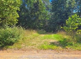 Lot 8 Harper Drive, Augusta WV  26704