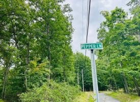 Lot 2 Pepper Ln, Great Cacapon, WV  25422
