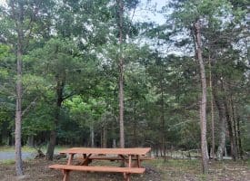3300 Foxes Hollow Road, Romney, WV  26757
