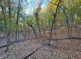 7313 Little Cacapon Rd., Romney, WV  26757