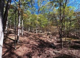 7313 Little Cacapon Rd., Romney, WV  26757