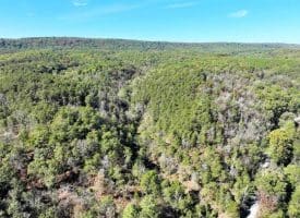 7313 Little Cacapon Rd., Romney, WV  26757